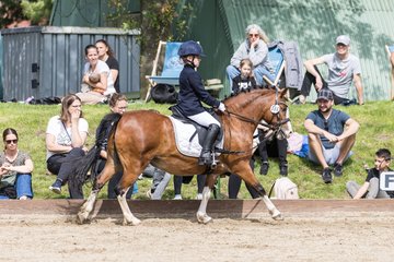 Bild 152 - Pony Akademie Turnier